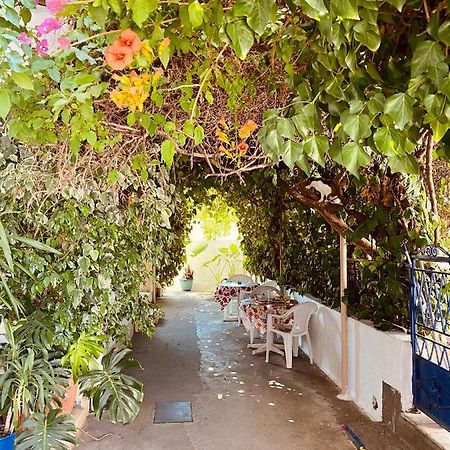 Afroditi Pension Archangelos  Exterior foto